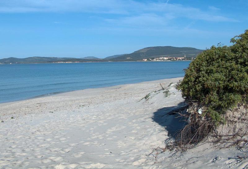Appartamento A Pochi Passi Dalla Spiaggia อาลเกโร ภายนอก รูปภาพ