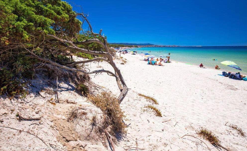 Appartamento A Pochi Passi Dalla Spiaggia อาลเกโร ภายนอก รูปภาพ